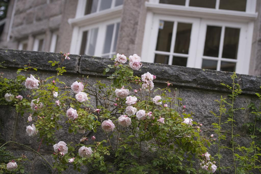 Lys-Na-Greyne Bed & Breakfast Aboyne Exterior photo