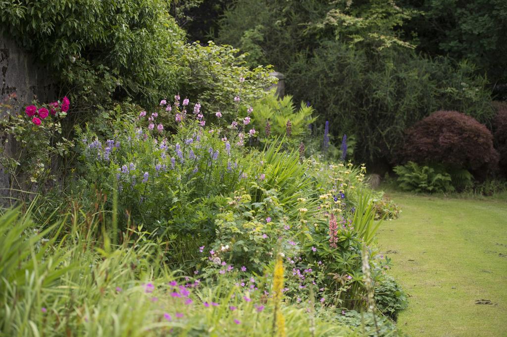 Lys-Na-Greyne Bed & Breakfast Aboyne Exterior photo